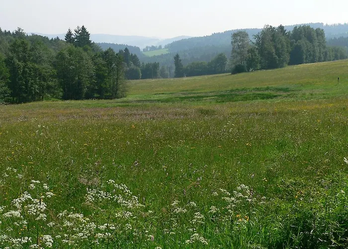 & Restaurant Danelchristelgut فندق 3*